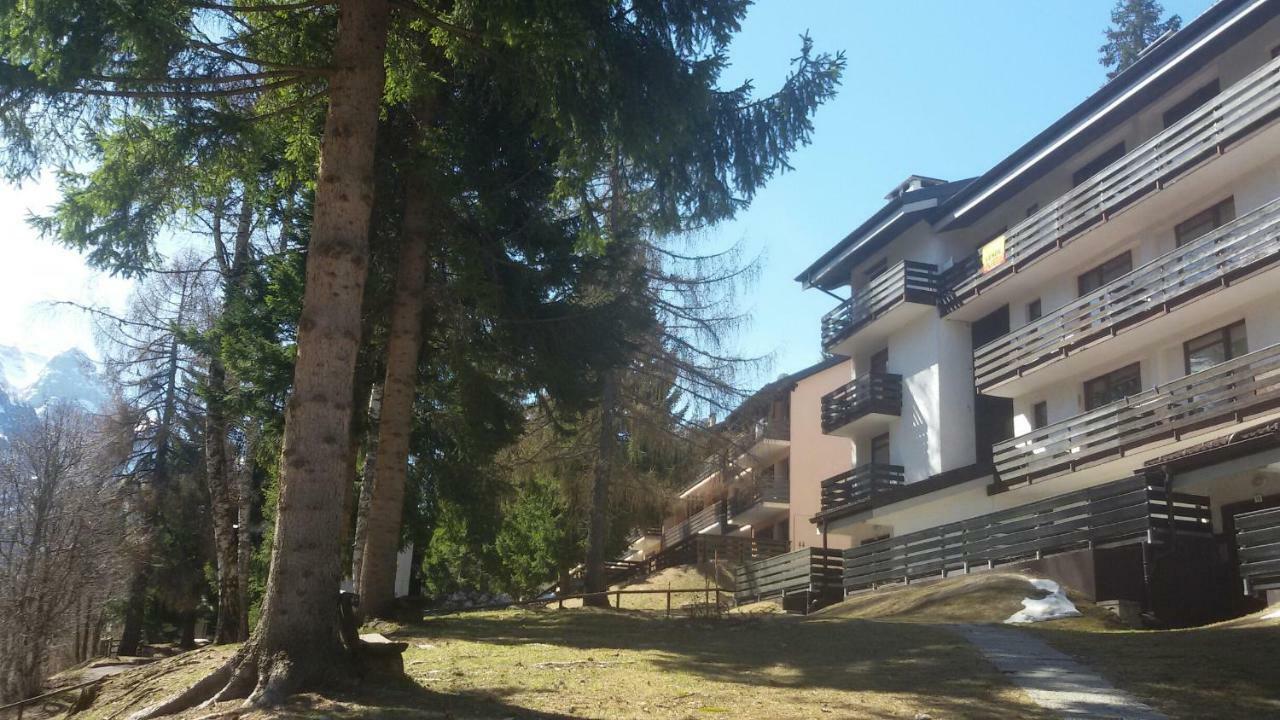 Casa Cinque Funghi A Folgarida Daire Dış mekan fotoğraf