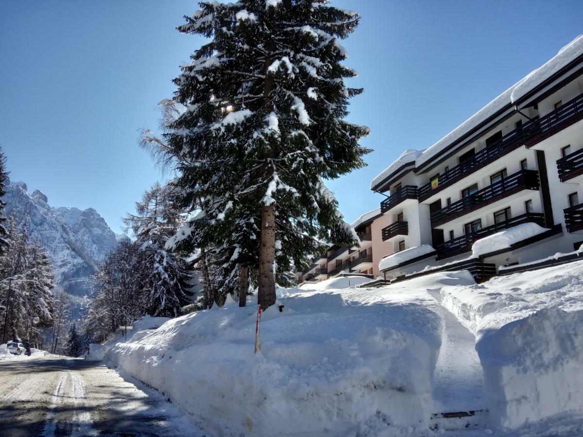 Casa Cinque Funghi A Folgarida Daire Dış mekan fotoğraf