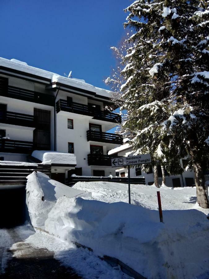 Casa Cinque Funghi A Folgarida Daire Dış mekan fotoğraf